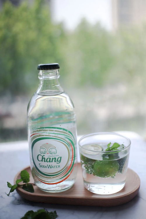 世界莫吉托地理 從曖昧甜水到地球飲料